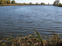 У Києво-Святошинському жінка після сімейного конфлікту хотіла піти з життя (ВІДЕО)