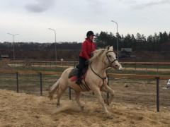 На Обухівщині відбувся Міжнародний чемпіонат із верхової стрільби з лука