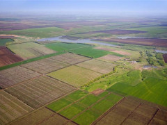 На Переяславщині земельного шахрая притягнули до відповідальності