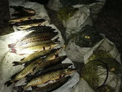 На Вишгородщині браконьєри наловили 27 кг риби