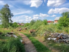 У Білій Церкві в парковій зоні вирубують берези (ВІДЕО)