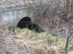 У Кагарлицькому районі невідомі повністю перекрили притоку річки Рось