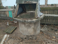 Під столицею рятувальники витягнули собаку із колодязя (ФОТО)