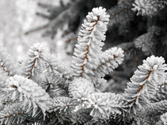 Прогноз погоди для жителів Київщини на 7-ме січня
