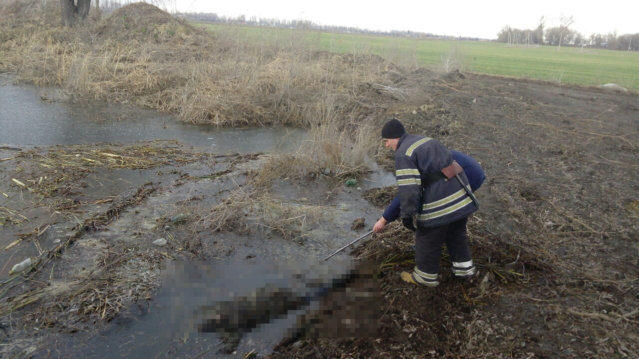 У Васильківському районі зі ставка витягли труп жінки