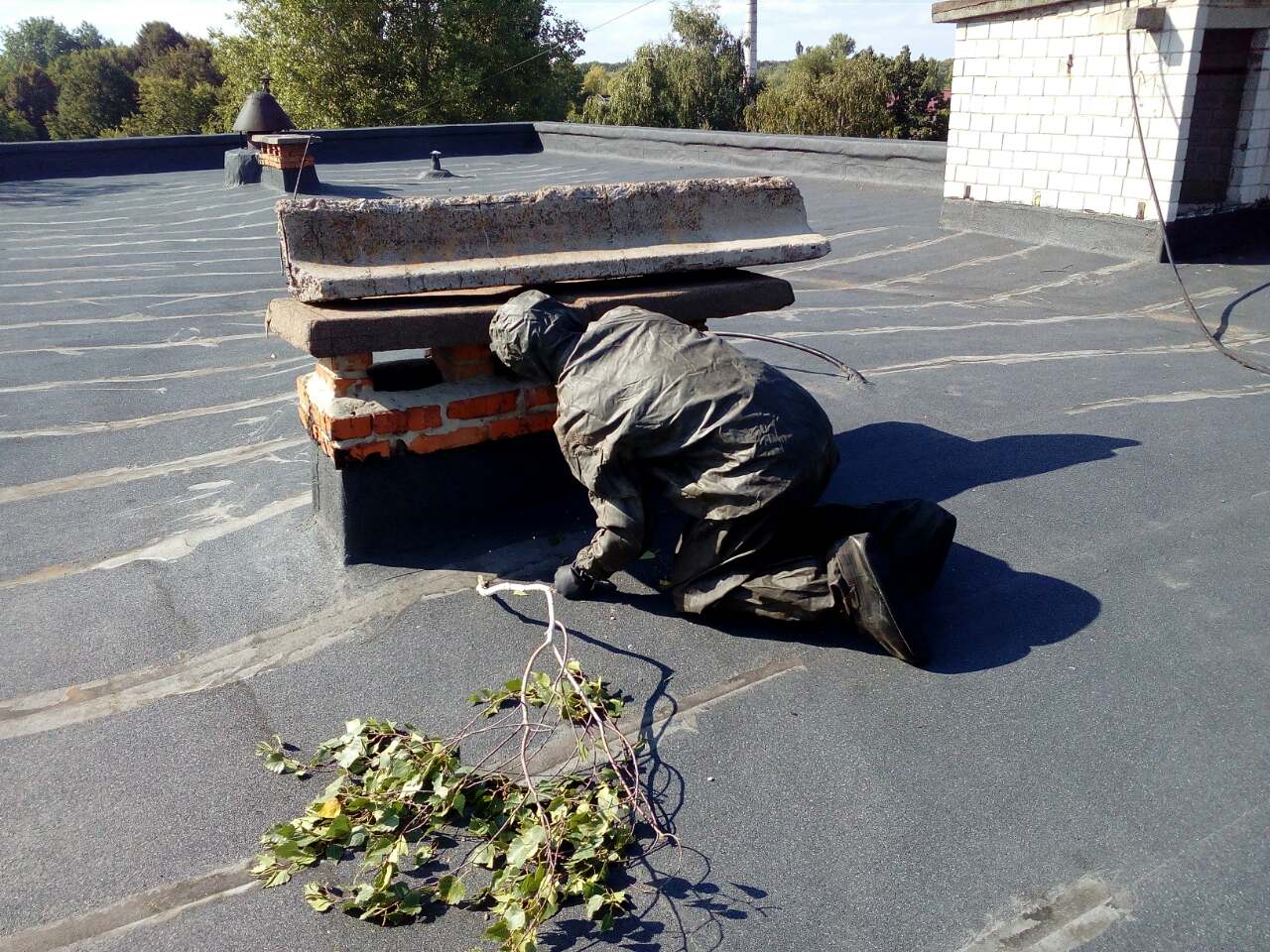 У Васильківському районі рятувальники "виселяли" шершнів зі школи (ФОТО)