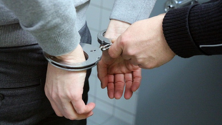 У Василькові на лаві підсудних опинився педофіл