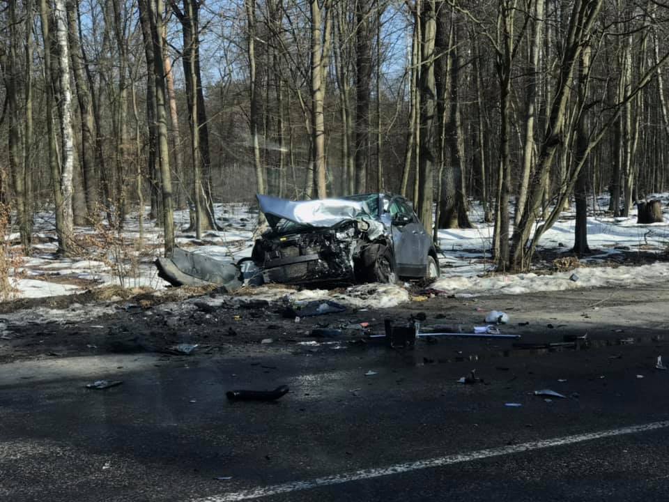 Стали відомі подробиці ДТП з маршруткою поблизу села Катюжанка (ФОТО)