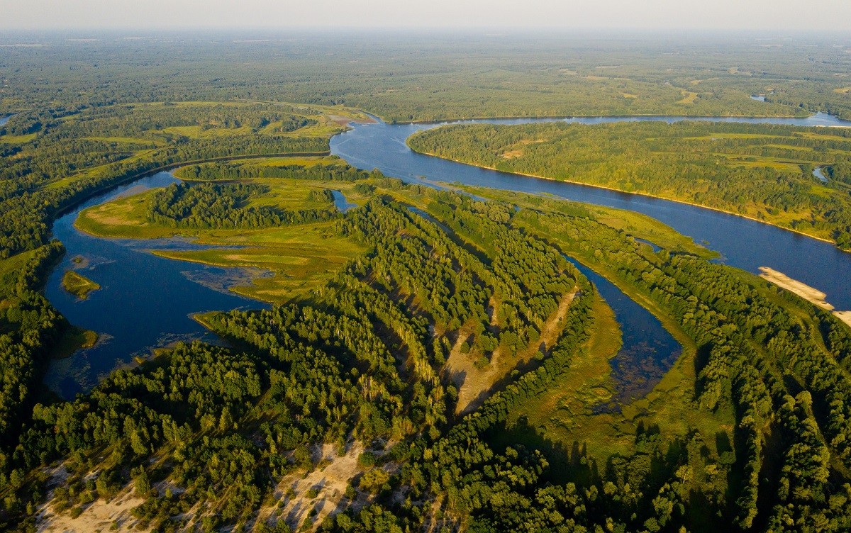 У Чорнобилі науковці проводять дослідження живих організмів у водоймах