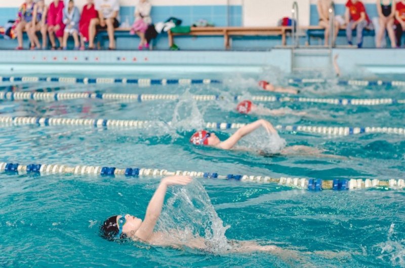 У Броварах будуть змагатися за першість у чемпіонаті Київщини з плавання