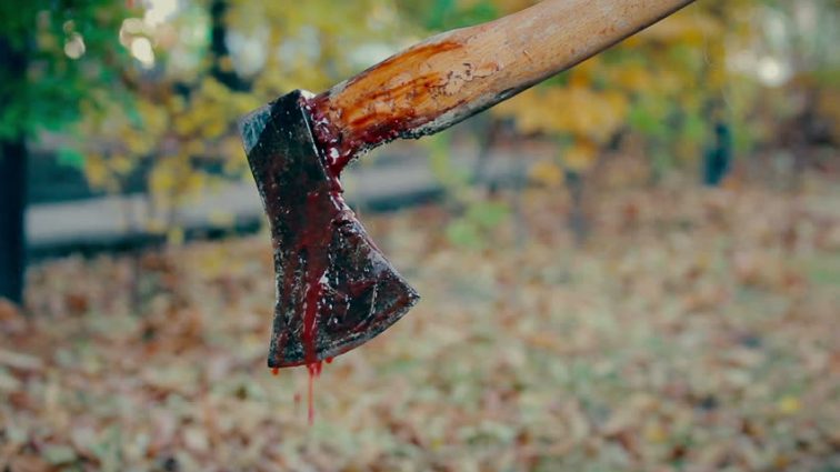У Богуславському районі судять жінку за п’яні розбірки з родичем