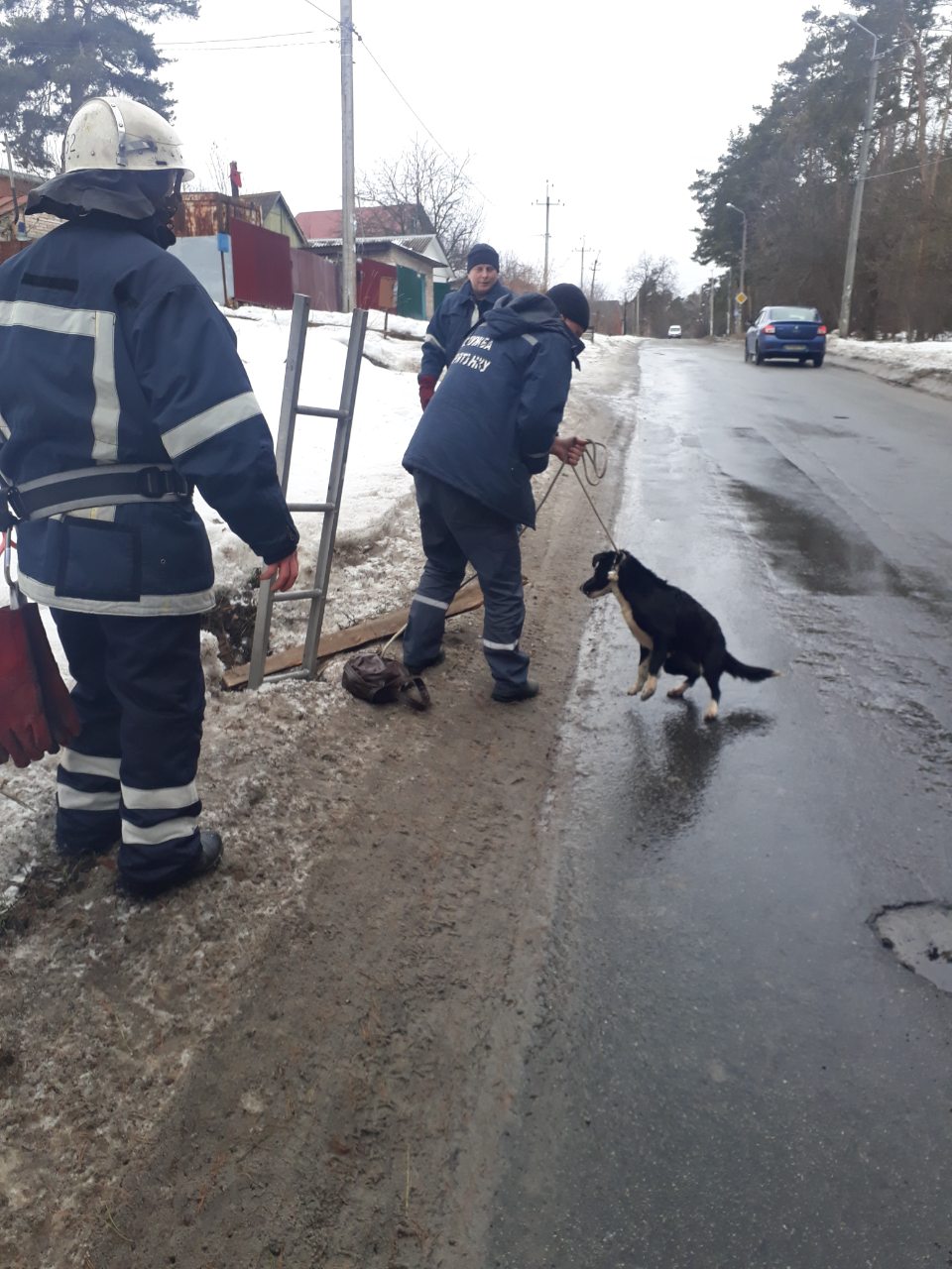 На Київщині пожежники продовжують рятувати тварин