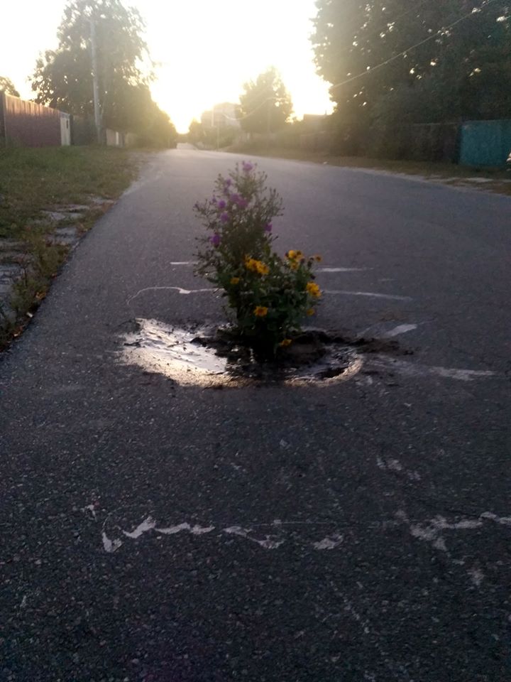 На Бородянщині провели незвичний ремонт доріг (ФОТО)