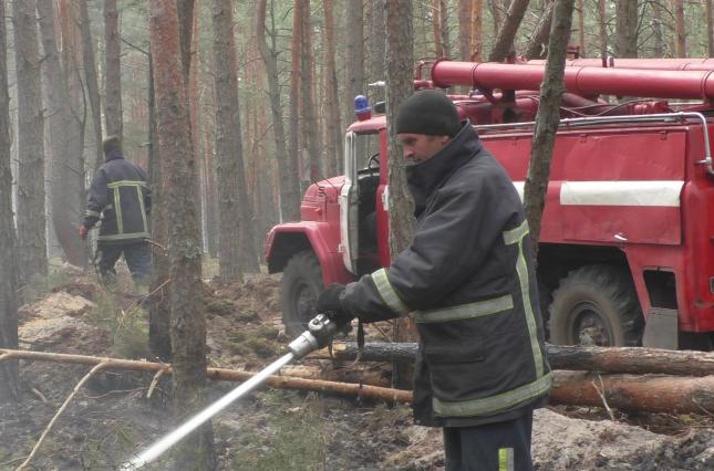 У районі ЧАЕС пожежники борються із тлінням торфовищ