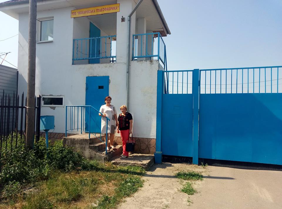 Смердюча птахофабрика у Макарові відновлює свою роботу (ВІДЕО)