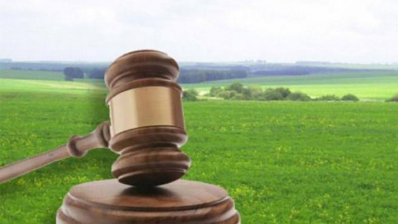 У Поліському районі фірма привласнила землі вартістю понад 167 млн грн