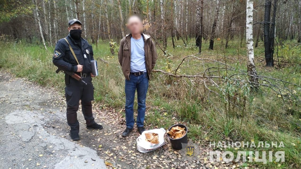 Житель Іванкова назбирав у зоні відчуження понад вісім кілограмів радіоактивних грибів