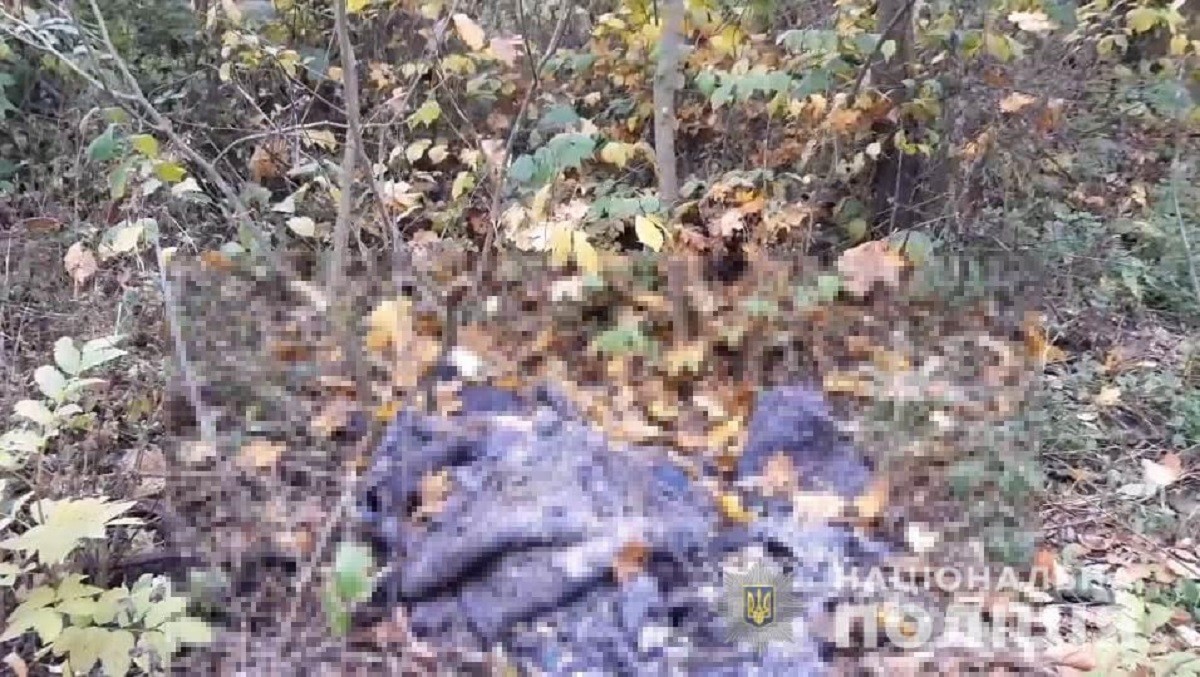 На Сквирщині чоловік задушив жінку та заховав її тіло в лісі (ФОТО, ВІДЕО)