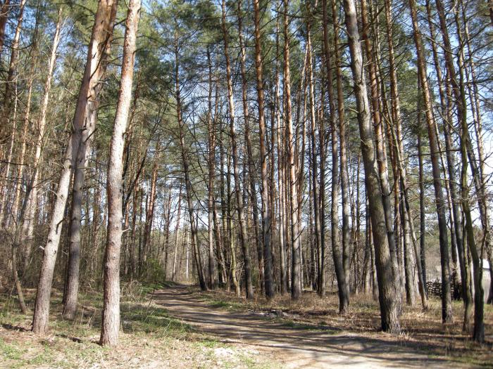 На Київщині з’явилися три нові заповідники