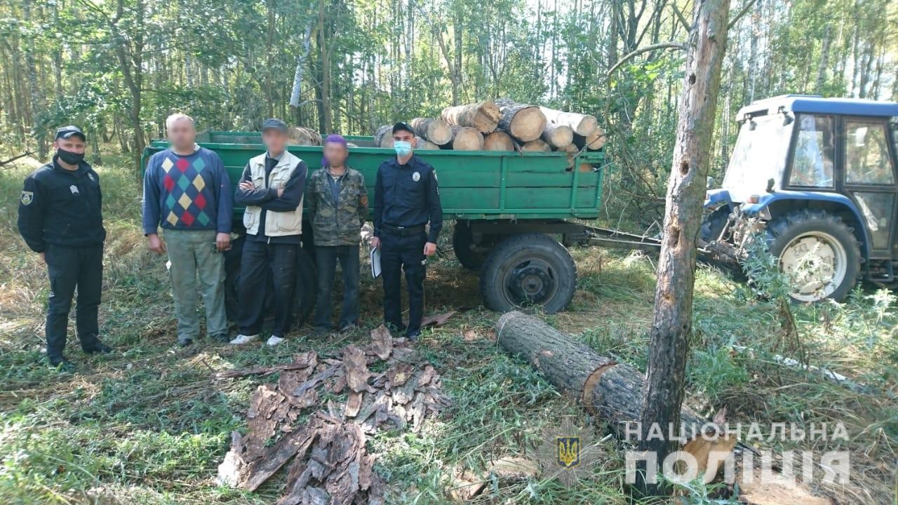У зоні відчуження затримали незаконних лісорубів (ФОТО)