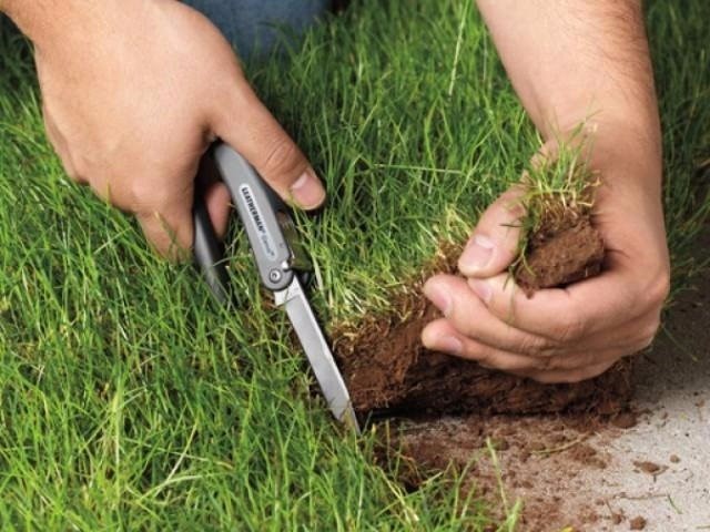 На Бориспільщині присвоїли землі на 100 мільйонів гривень
