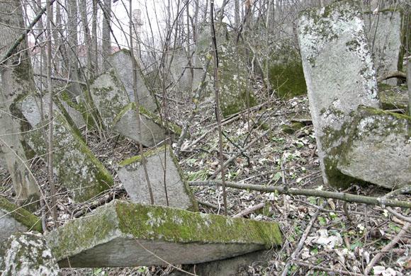 На занедбаному єврейському кладовищі в Таращі випасають птахів (ВІДЕО)