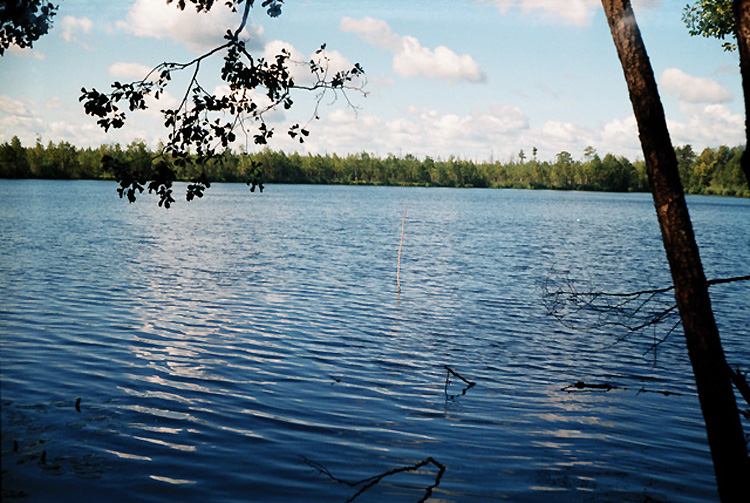 На Обухівщині вкрали землі водного фонду майже на півмільйона грн