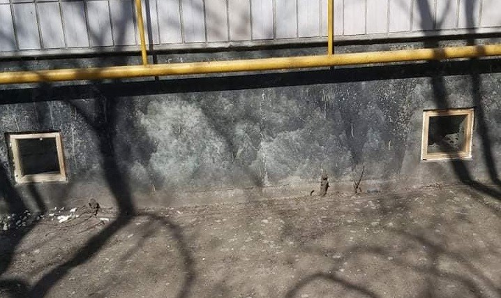 В Обухові тварини не могли вибратися з підвалів через засклені комунальниками вікна (ФОТО)