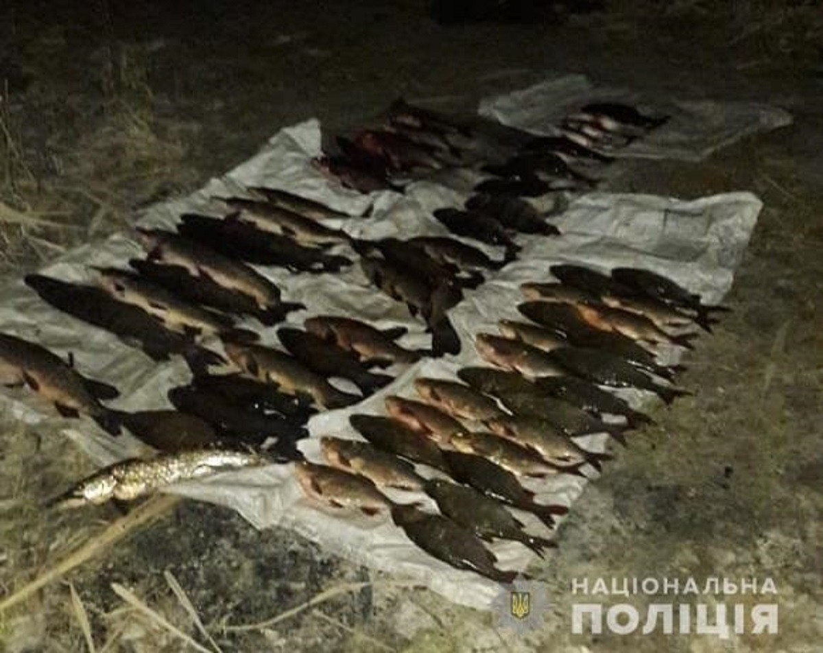 В Іванківській ОТГ спіймали жителя Житомирської області, який займався браконьєрством (ФОТО)