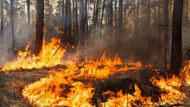 На Київщині очікується надзвичайний рівень пожежної небезпеки