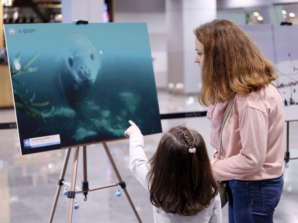 В аеропорту "Бориспіль" відкрилась фотовиставка про життя українців в Антарктиді
