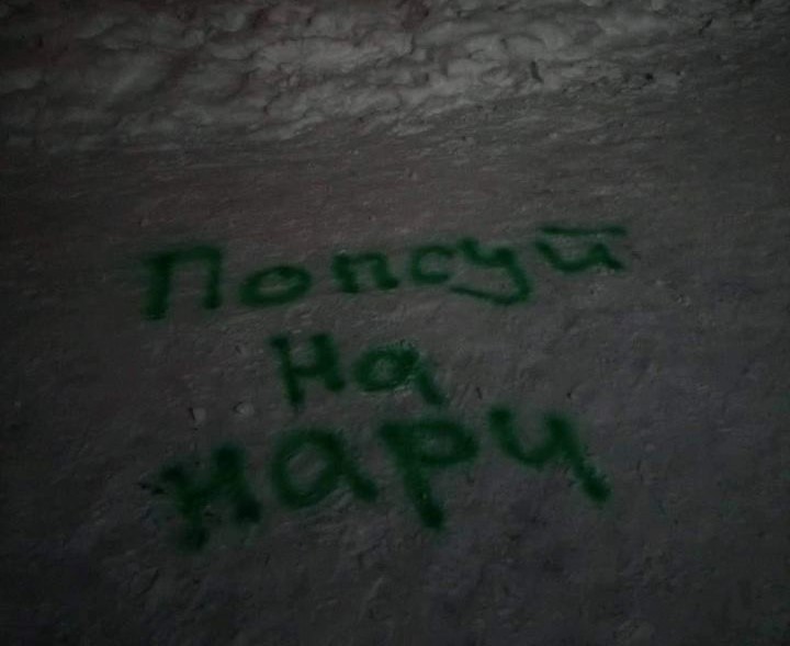 В Ірпені жителі на снігу написали все, що думають про депутатів із партії "Нові обличчя" (ФОТО)