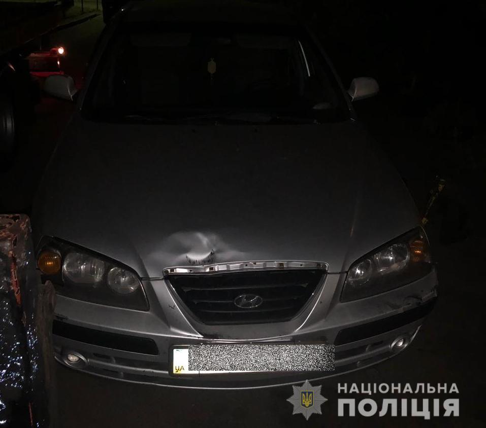 Поліцейські спіймали зловмисників, які обікрали автомобіль неподалік від селища Козин