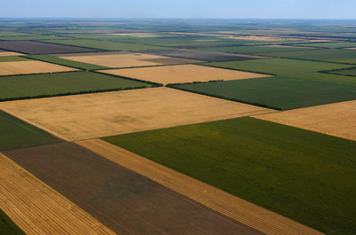 В Баришівському районі прокуратура повертає 53 га земель після п'яти років незаконної оренди