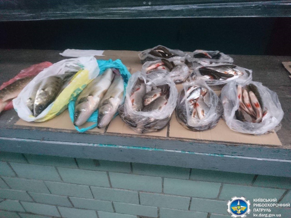 Повсюдні порушення збуту водних ресурсів на Київщині (ФОТО)