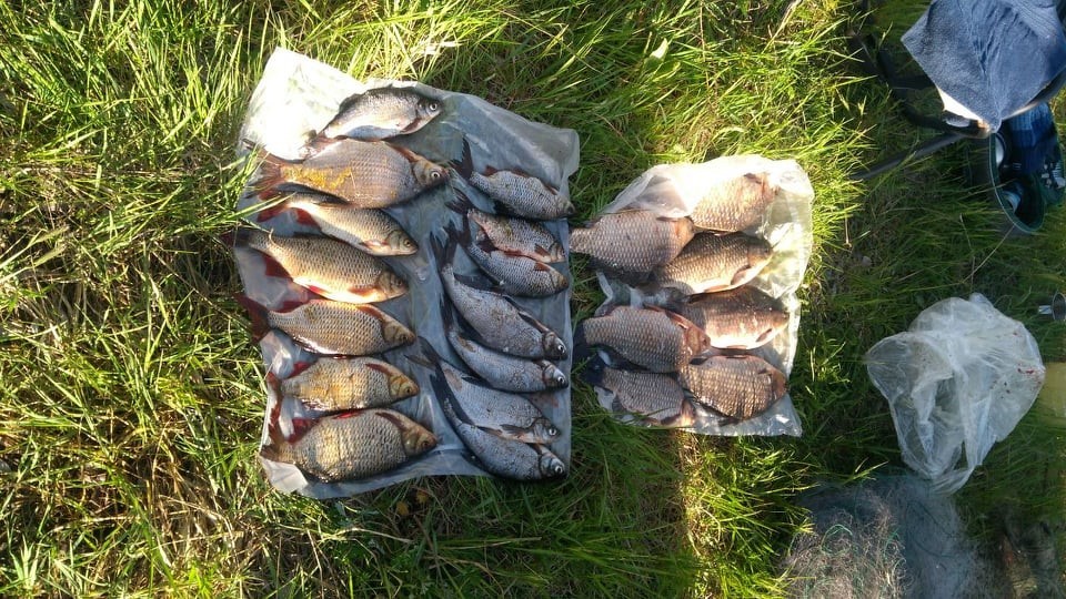 У Чорнобильському заповіднику продовжують ловити рибних браконьєрів (ФОТО)