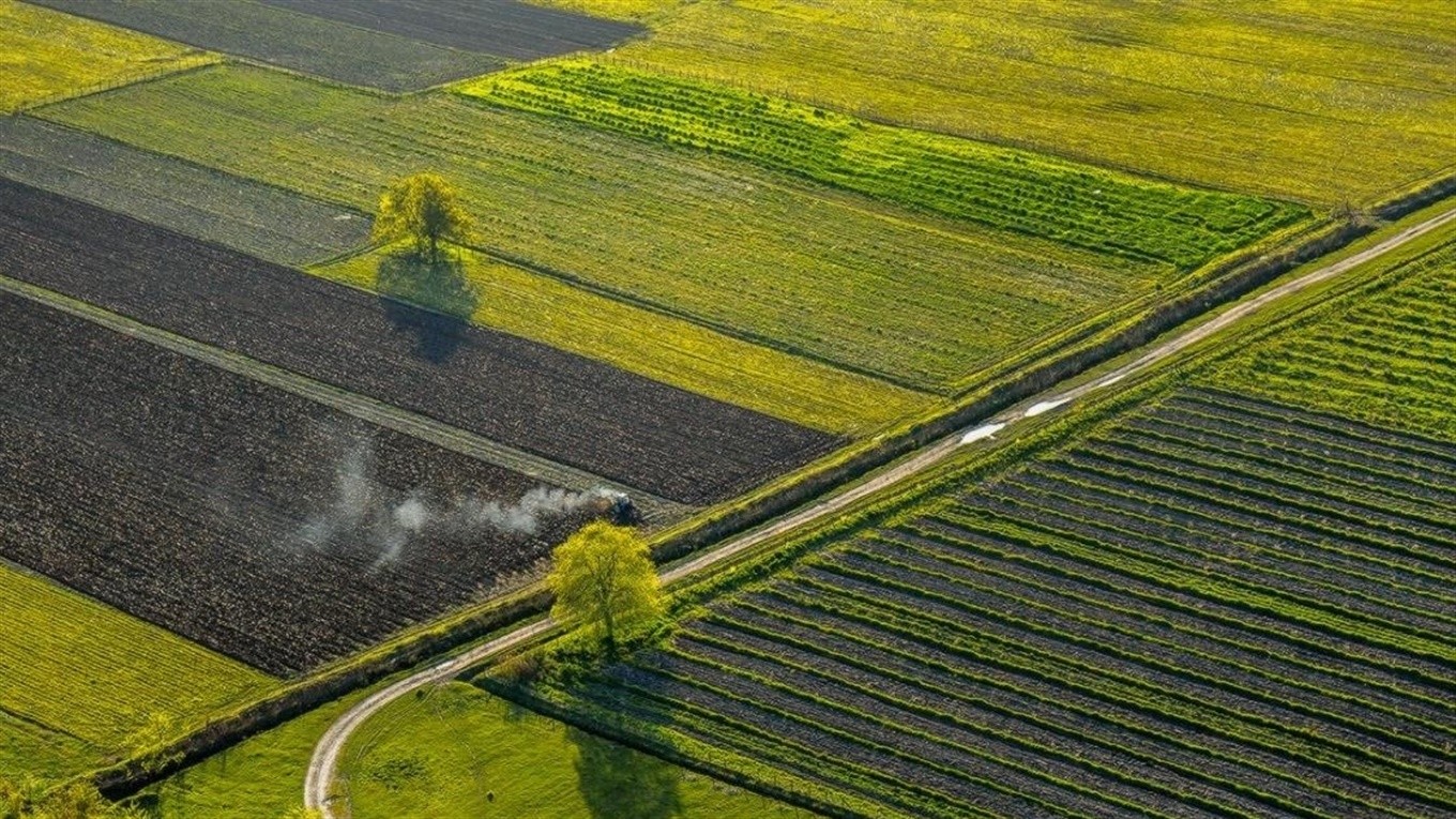 На Іванківщині прибрали до рук понад 100 га державної землі