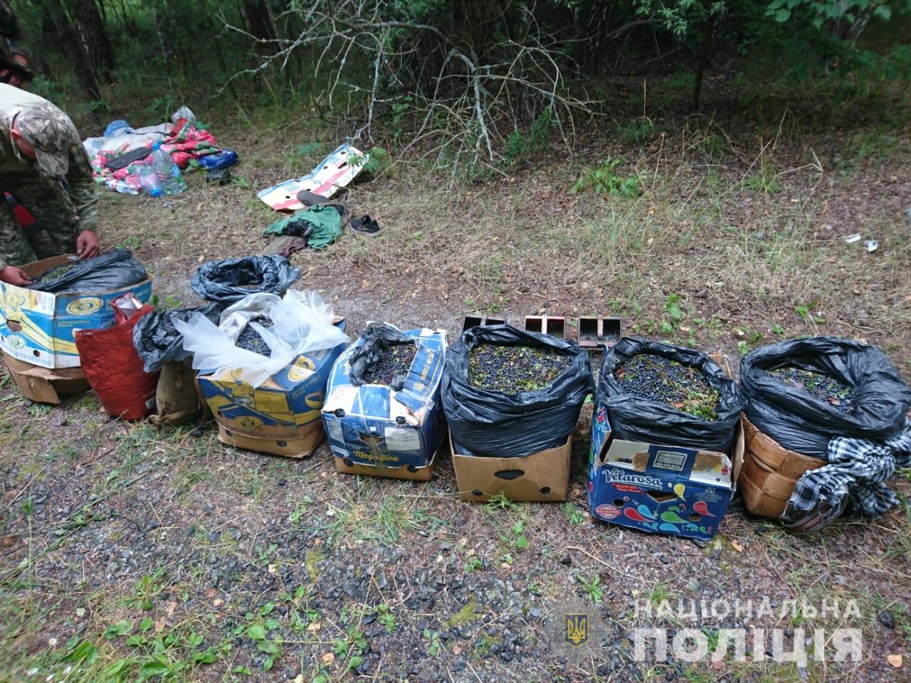 У зоні ЧАЕС правоохоронці вилучили у громадян 300 кг радіоактивних ягід (ФОТО)