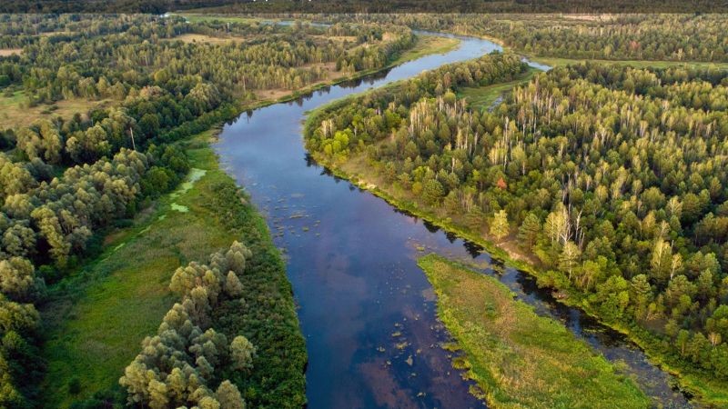 "Держава в державі": у "Слуг народу" розповіли про "чорних" бізнесменів Чорнобиля