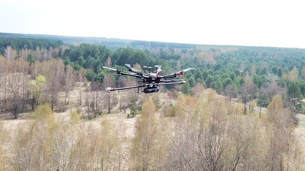 У Чорнобильській зоні за допомогою дронів дослідили Рудий ліс
