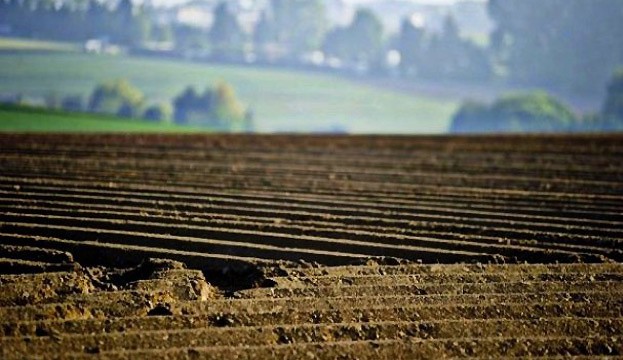 Бориспільська РДА незаконно передала держземлі у приватну власність