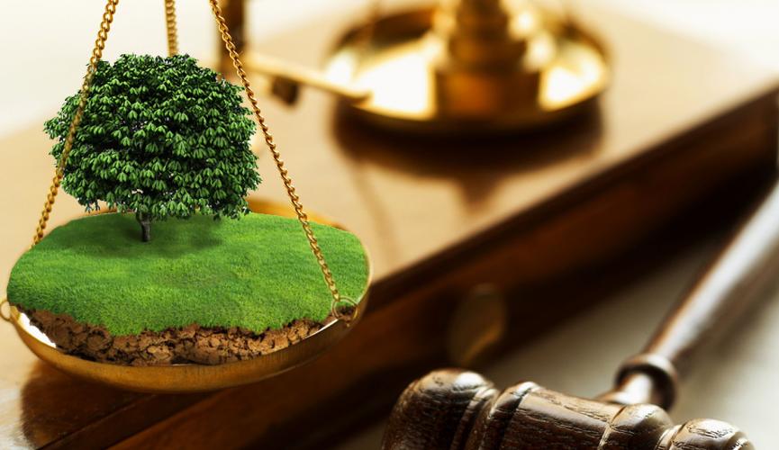 Прокуратура Київщини повернула землі на суму 275 мільйонів