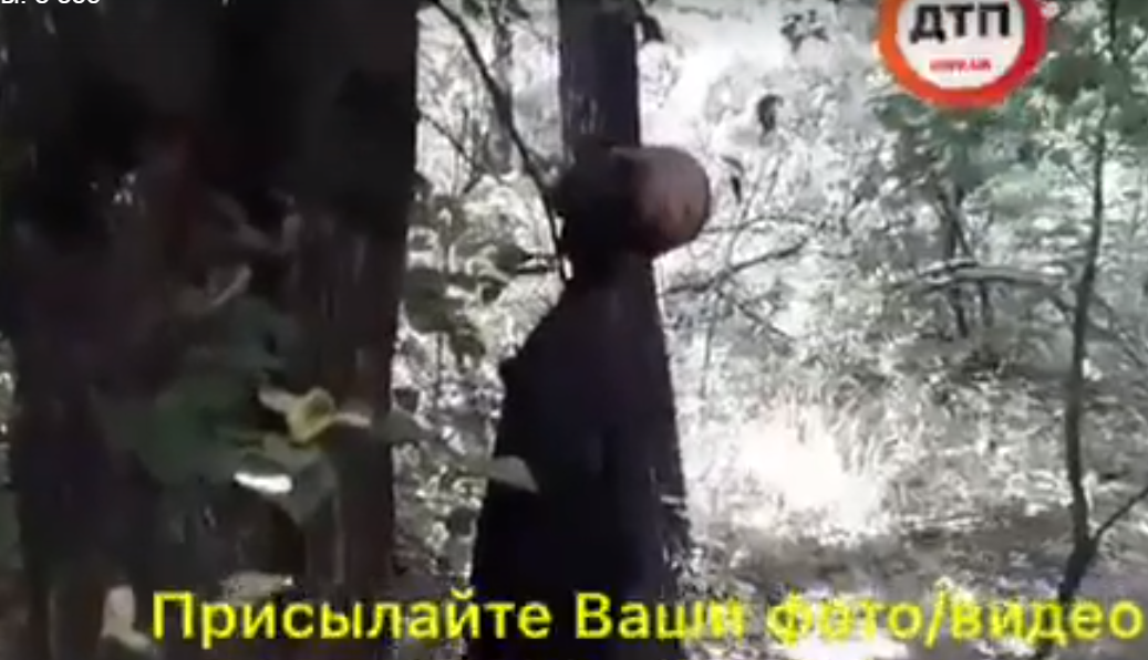 Пішов за грибами, а знайшов труп: моторошна знахідка під Борисполем (ВІДЕО)