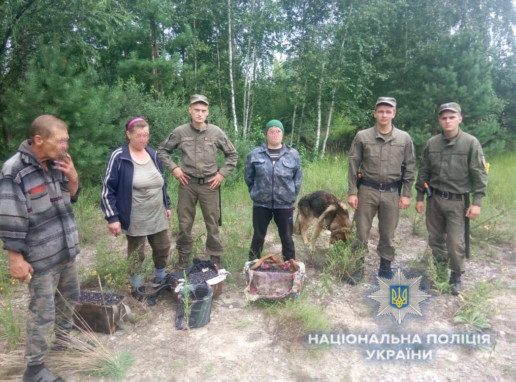 У Чорнобильській зоні знову затримали збирачів ягід