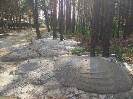 В Ірпені друг Карплюка заливає дерева бетоном (ФОТО)