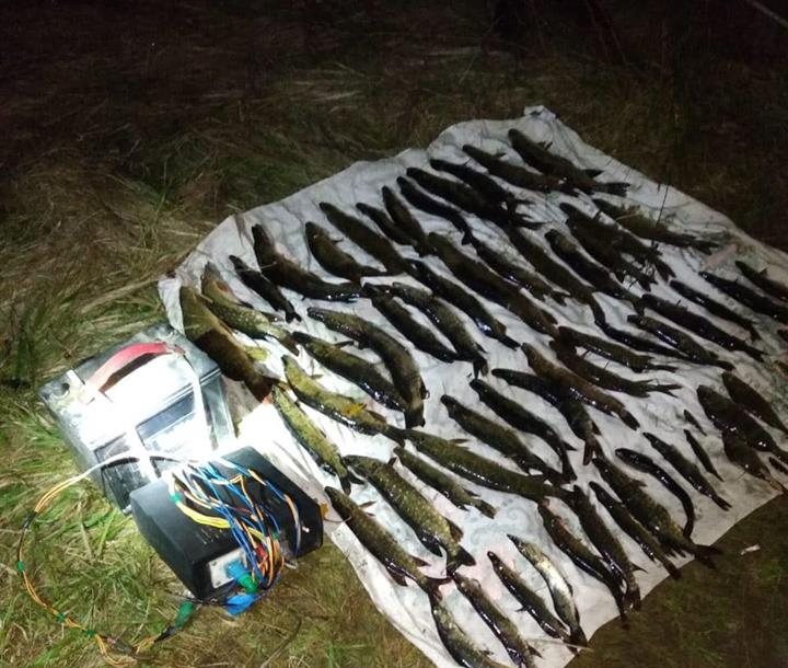 У Бориспільському районі затримали браконьєрів з "електровудочками" (ФОТО)