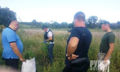 На Іванківщині прикордонники виявили плантації коноплі