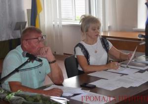 У Гостомелі невістка голови селищної ради отримала 15 соток (ФОТО)