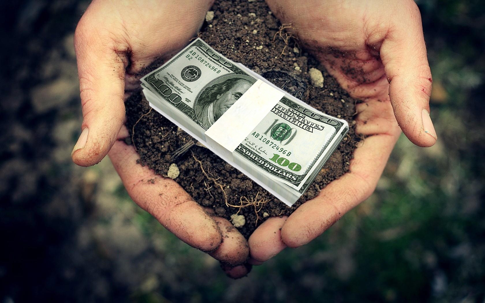 Національний банк продає земельні ділянки під Борисполем