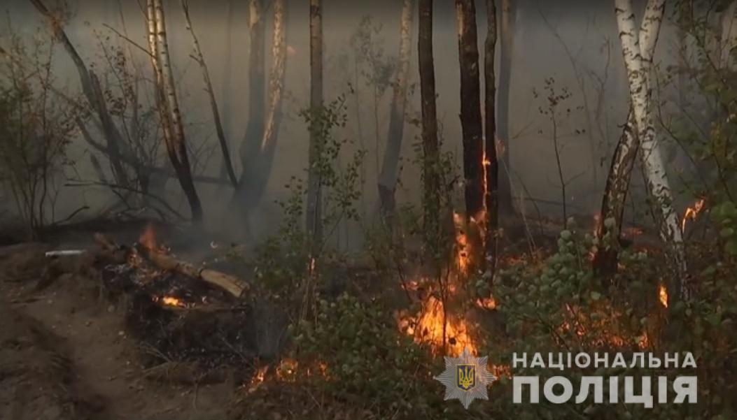 Мстиву жінку підозрюють у підпалі Чорнобильської зони